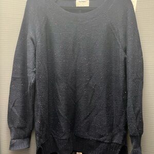 Old Navy Blue Crew Neck Sweater